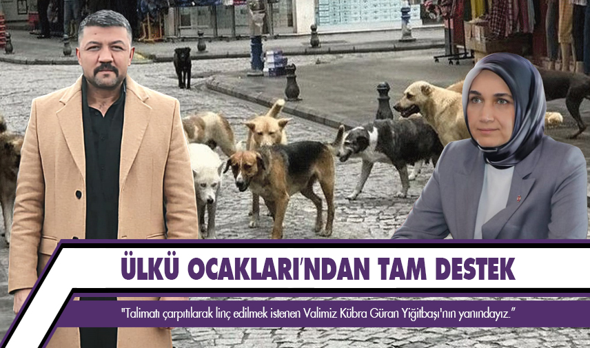 Vali Yiğitbaşı’na Ülkü Ocakları’ndan tam destek