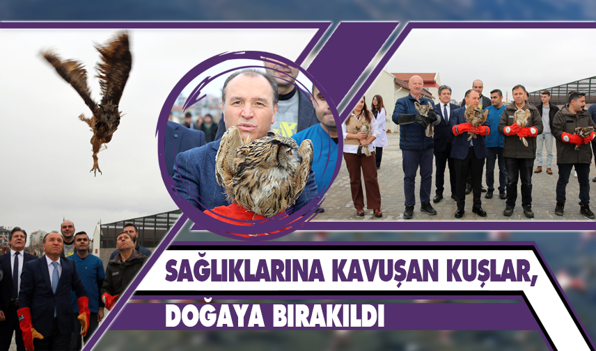 AKÜREM’de sağlıklarına kavuşan kuşlar, doğaya bırakıldı