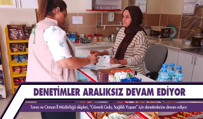 Denetimler aralıksız devam ediyor