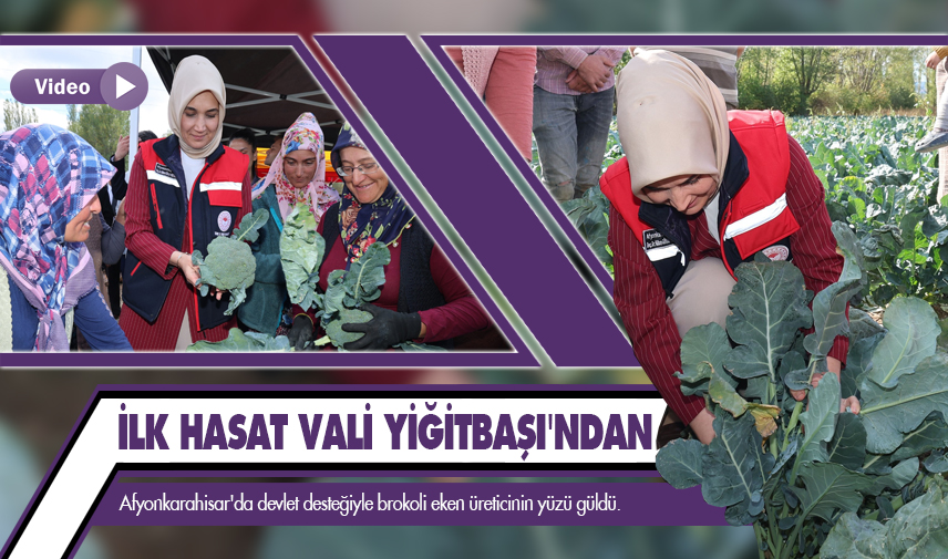 İlk hasat Vali Yiğitbaşı’ndan