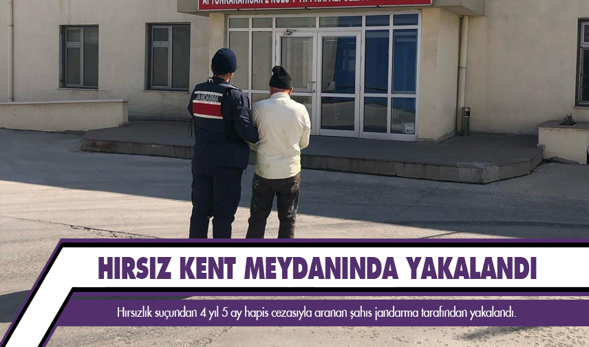 Hırsızlık suçundan hapis cezasıyla aranan şahsı jandarma yakaladı