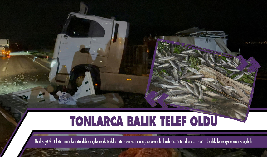 Tonlarca balık telef oldu