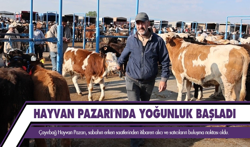 Hayvan Pazarı’nda yoğunluk başladı