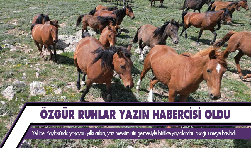 Özgür ruhlar yazın habercisi oldu