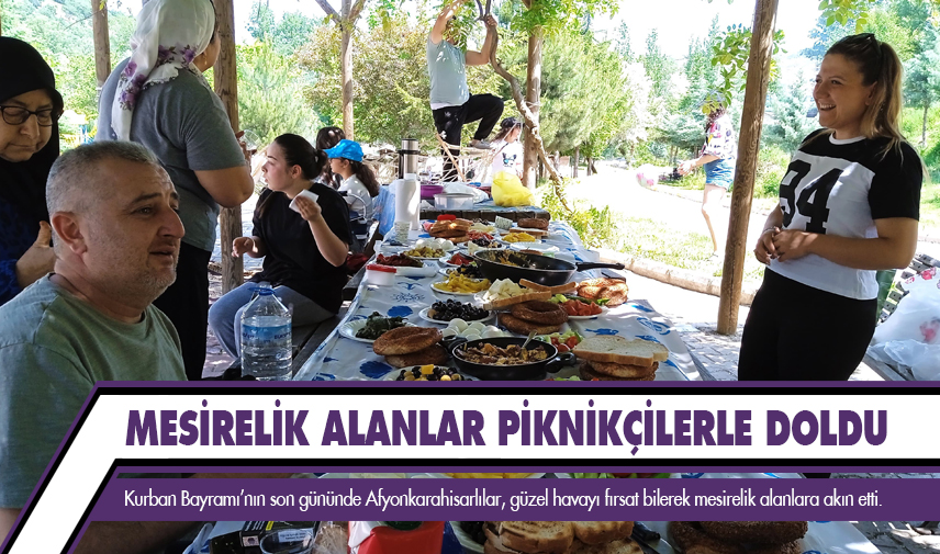 Mesirelik alanlar piknikçilerle doldu